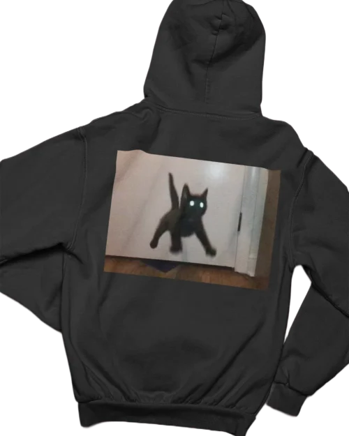 “Scared kitty” Hoodie #48